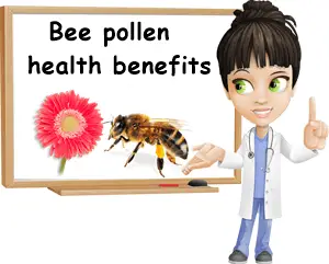 Bee pollen health benefits