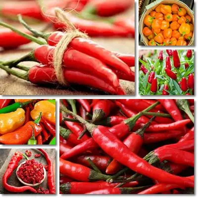 Hot peppers benefits and side effects