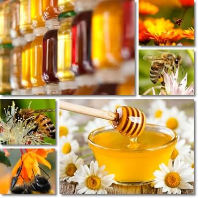 Monofloral honey properties