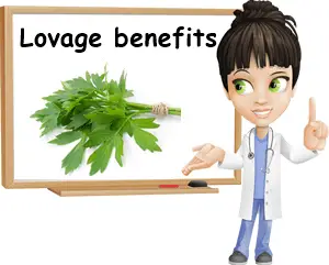 Lovage benefits