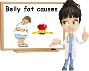 Belly fat causes