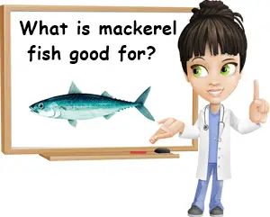 Mackerel fish good