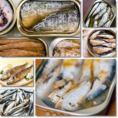 Sardines benefits