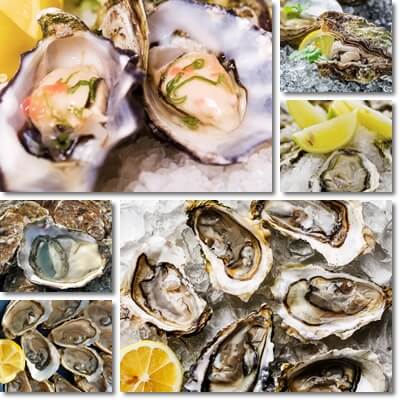 Benefits of eating oysters