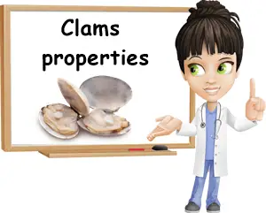 Clams properties