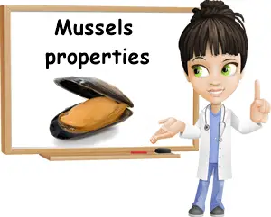 Mussels properties