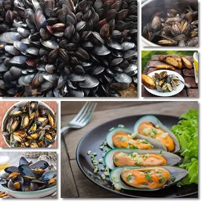 Mussels