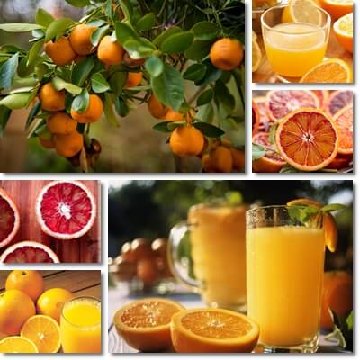 Orange juice or orange fruit