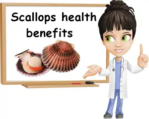 Scallops health benefits