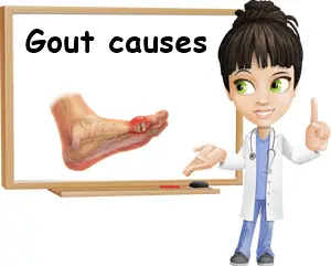 Gout causes