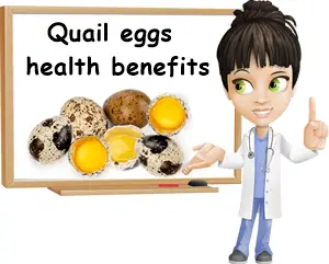 Quail eggs health benefits