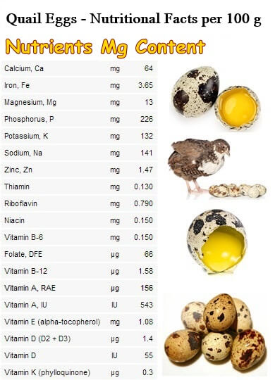 Quail eggs nutrition table