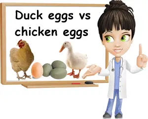 Duck eggs vs chicken eggs