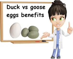 Duck vs goose eggs benefits
