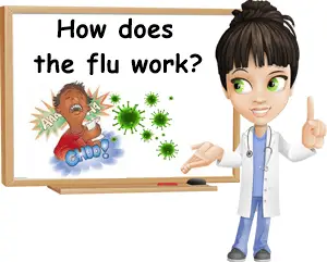 How does the flu work