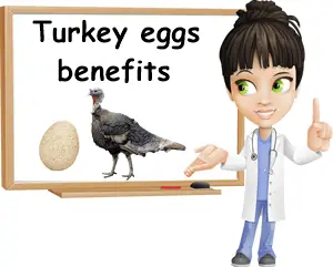 Turkey eggs benefits