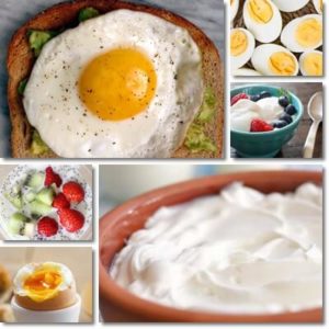 Yogurt or Eggs for Breakfast? (Hard To Choose) - NatureWord