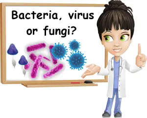 Bacteria, virus or fungi