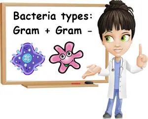 Gram positive gram negative