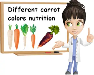 Nutrients in all carrot colors