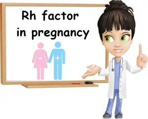 Rh factor significance in pregnancy