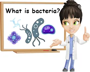 What is bacteria
