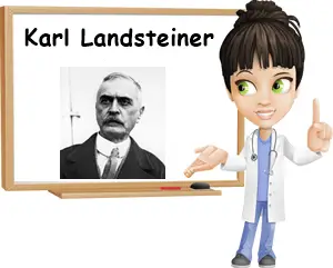 Who was Karl Landsteiner