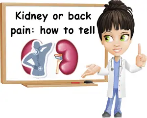 Kidney pain or back pain how to tell