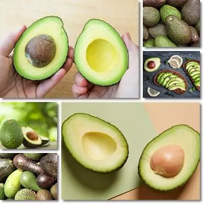 Avocado side effects