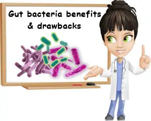 Gut bacteria benefits and drawbacks