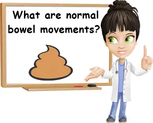 Normal bowel movements