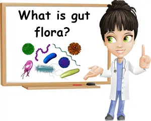 What is gut flora