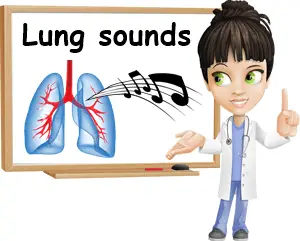 Lung sounds