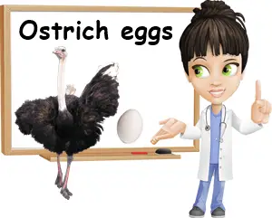 Ostrich eggs