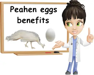 Peahen eggs benefits