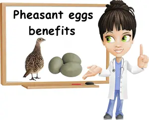 Pheasant eggs benefits