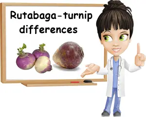 Rutabaga turnip difference