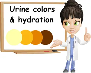 Urine colors and hydration