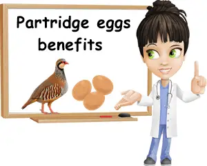 Partridge eggs benefits