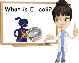 What is E. coli