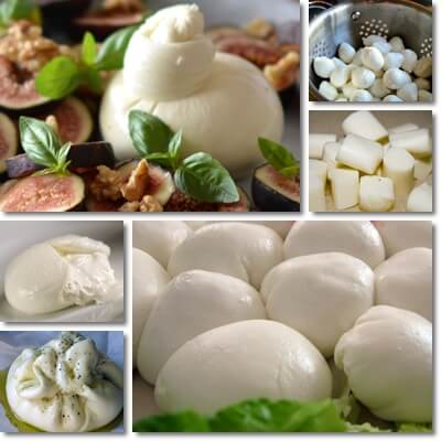 Mozzarella and burrata differences