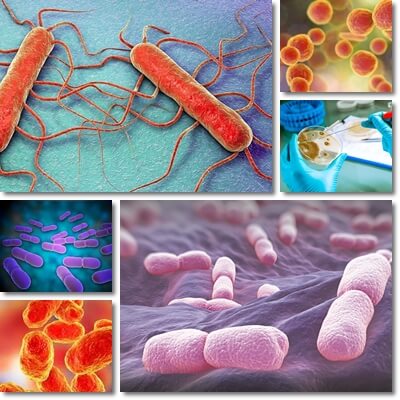 Listeria causes