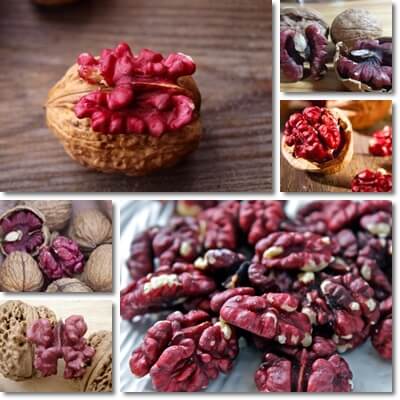 Red walnuts
