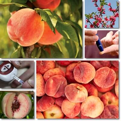 Peaches blood sugar diabetes