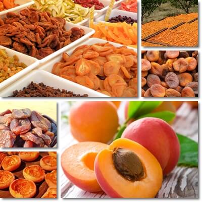 Dried apricots glycemic index