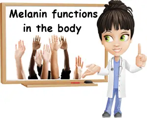 Melanin functions