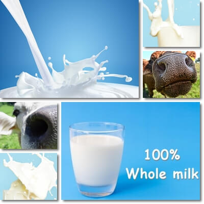 Whole milk