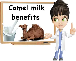 Camel milk benefits