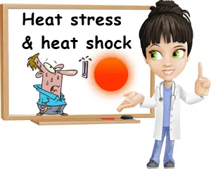 Heat stress symptoms