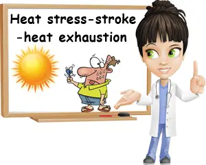 Heat stress vs heat exhaustion vs stroke